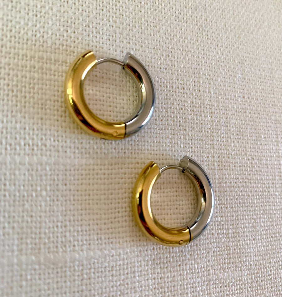 Silver and Gold Hoops