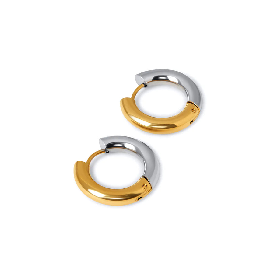 Silver and Gold Hoops